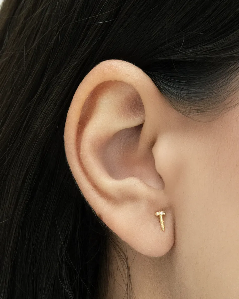Aretes CT Clavo — vista 2