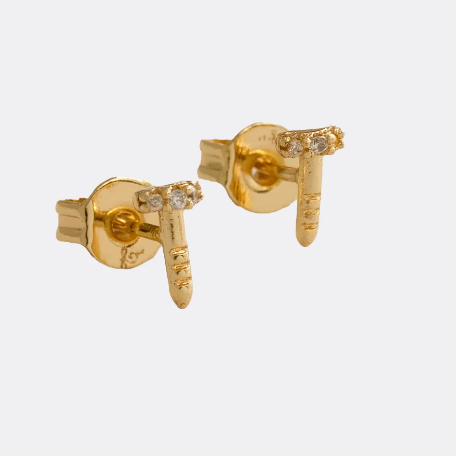 Aretes CT Clavo