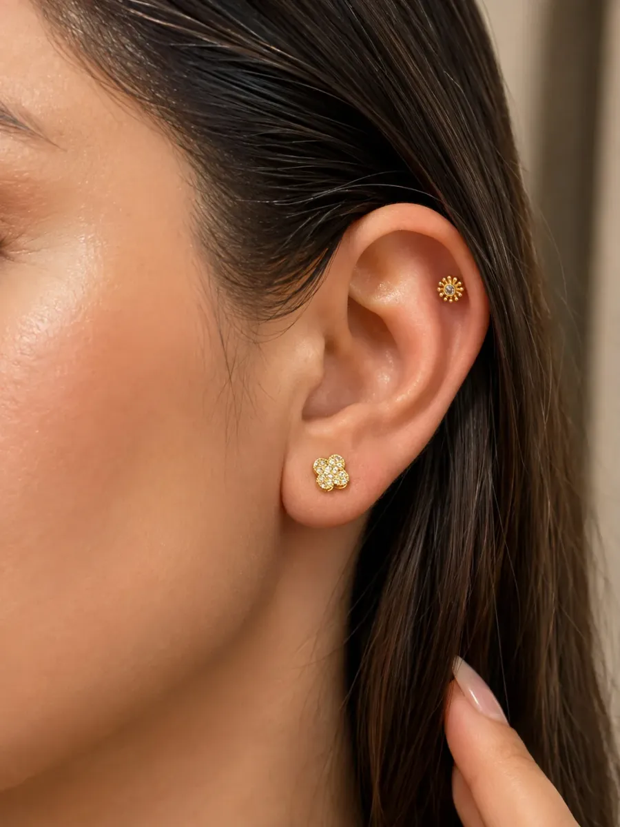 Aretes Helix — vista 2