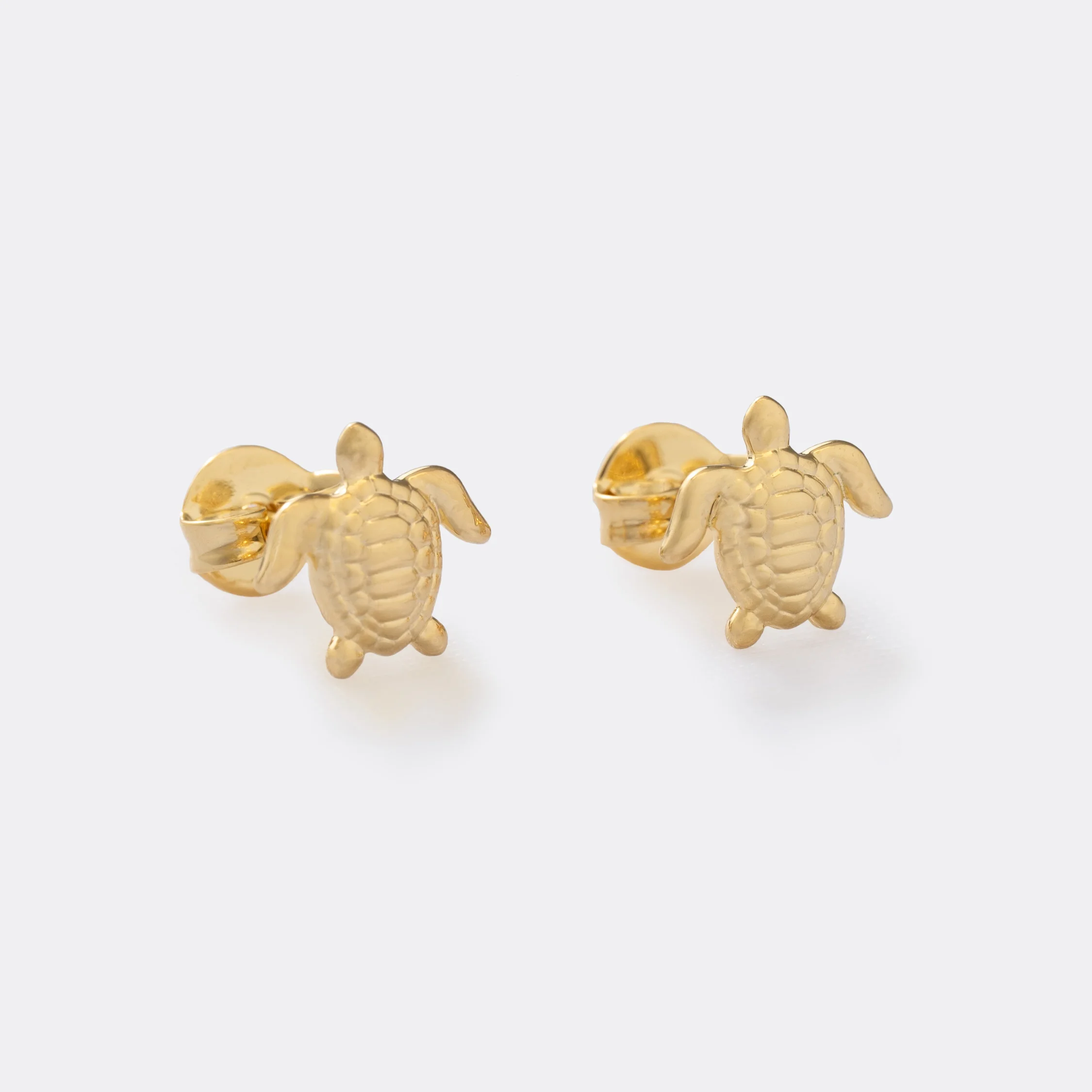 Aretes Turtle