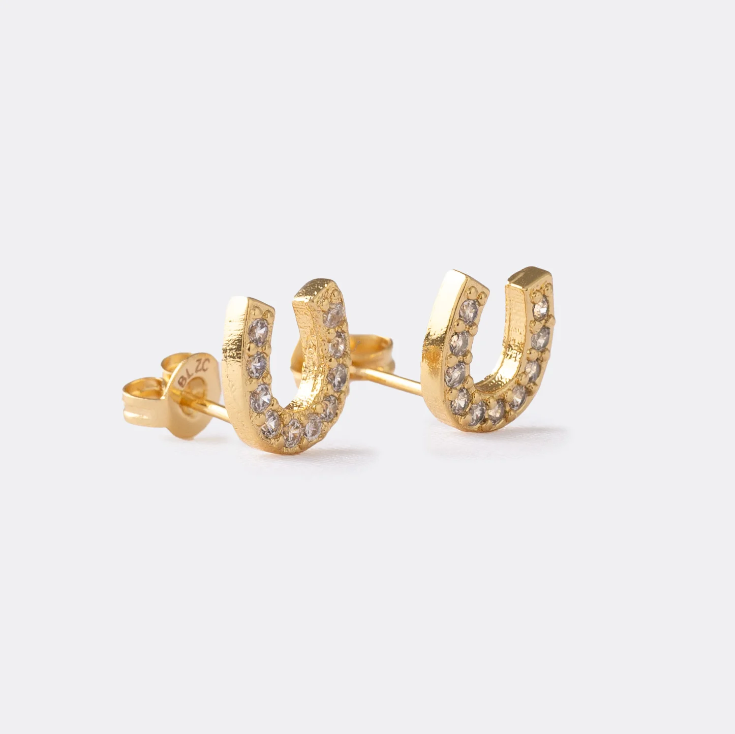 Aretes Equino