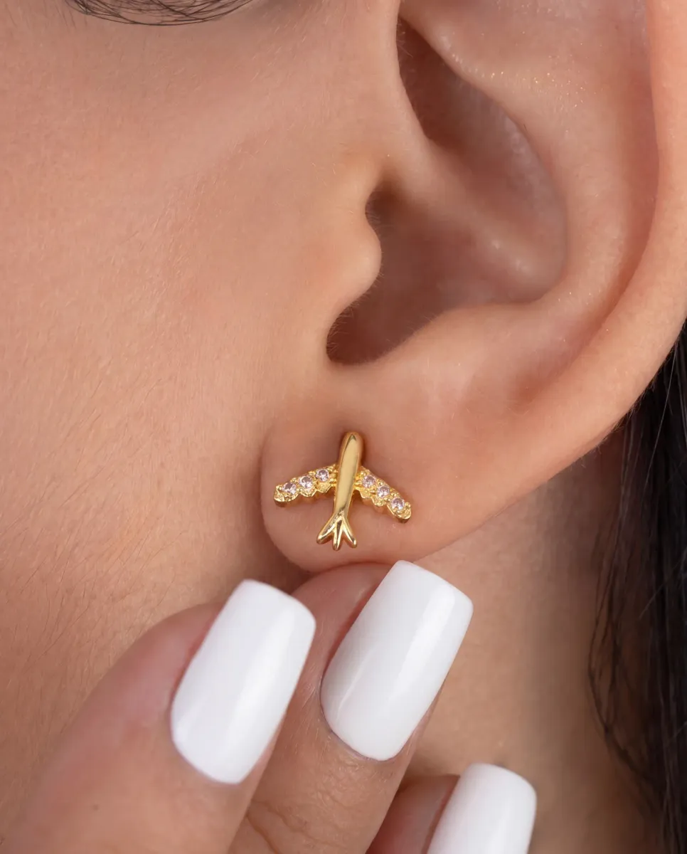 Aretes Avión — vista 2