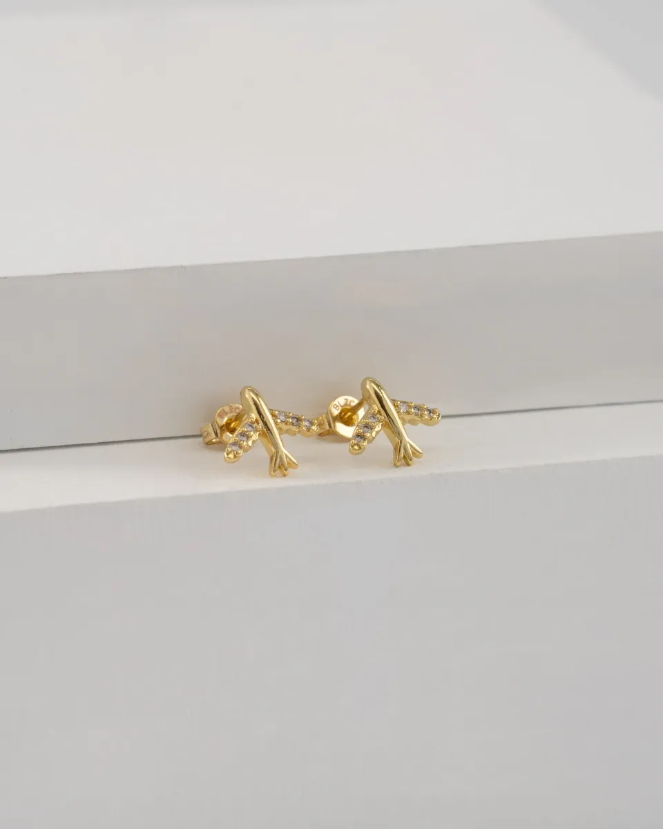 Aretes Avión — vista 3