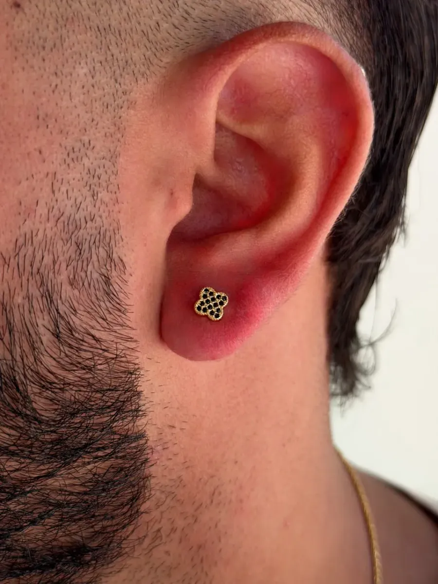 Aretes Luck Clover — vista 2