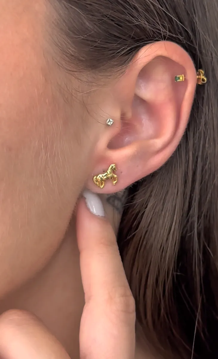 Aretes Caballo — vista 2