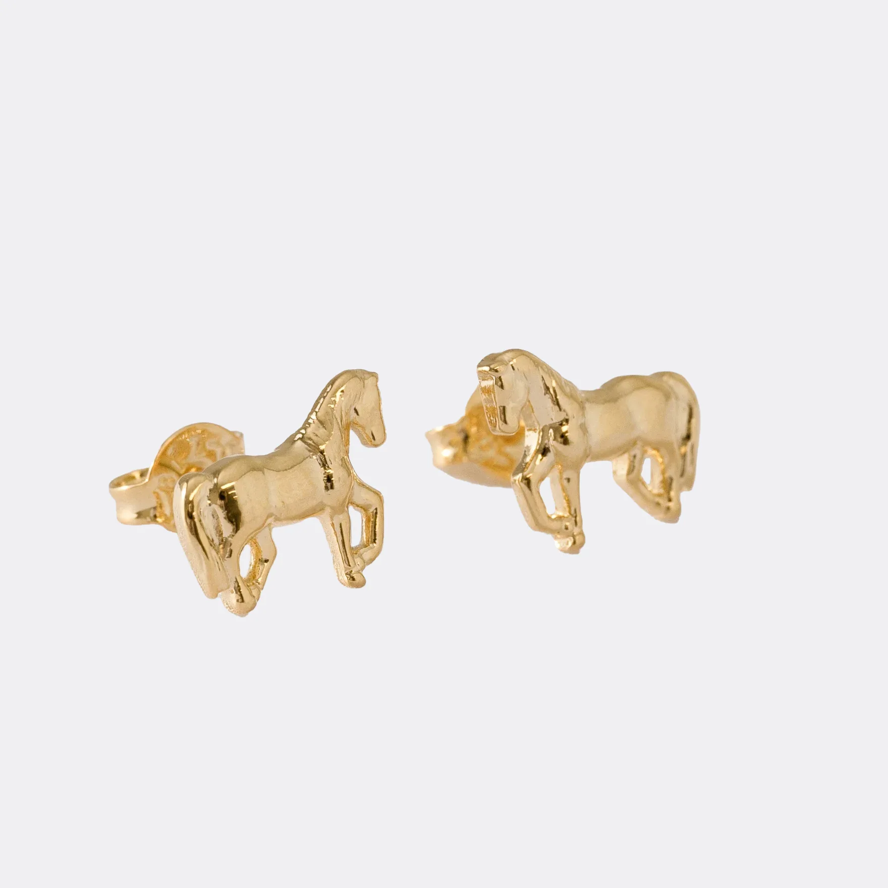 Aretes Caballo
